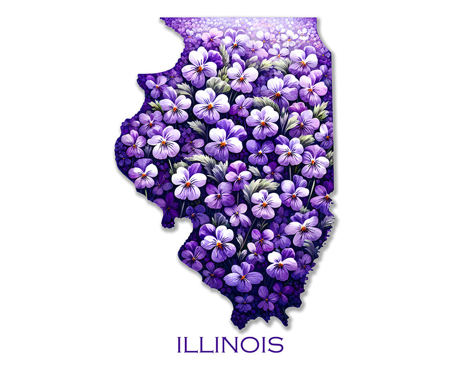 WanderFlowers-Illinois: Violet