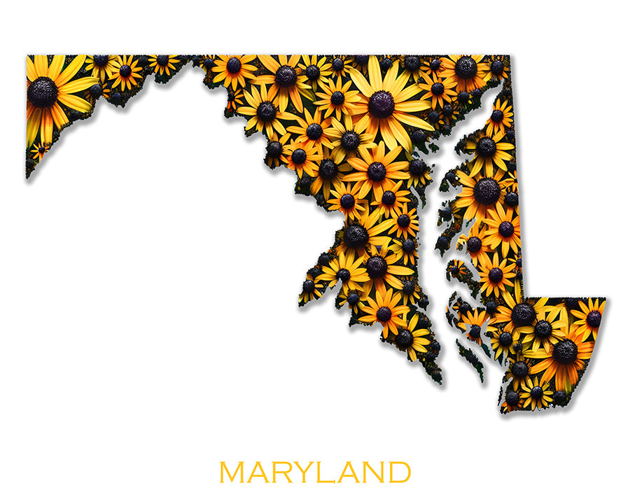 WanderFlowers-Maryland: Black-Eyed Susan